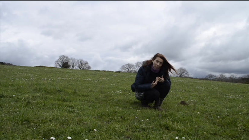 Prairie - 32_sieste polyglotte